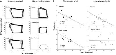The Relationship Between Heart Rate and Left Ventricular Isovolumic Relaxation During Normoxia and Hypoxia-Asphyxia in Newborn Piglets